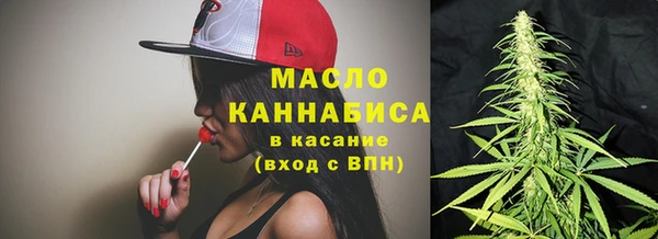 spice Дмитриев