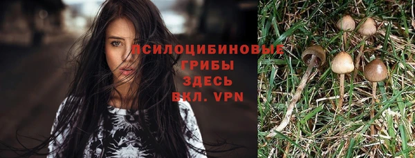 скорость Абинск