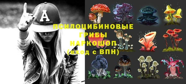 молекула духа Сатка